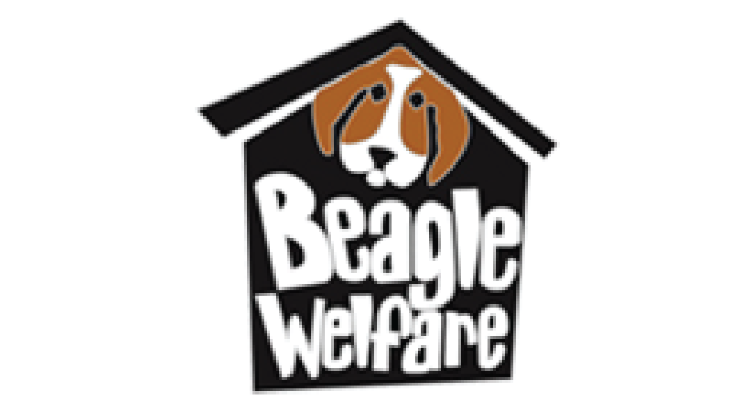 Beagle Welfare Trust